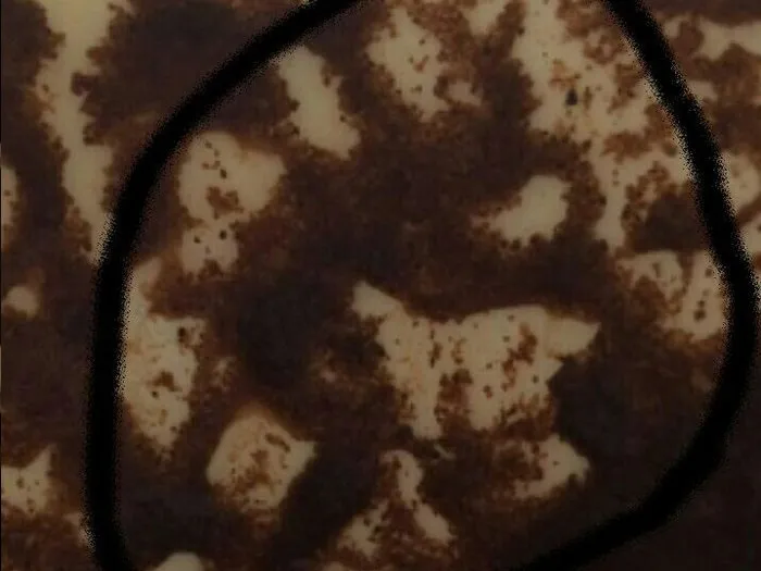 Запись на прием к гадалке Анне в Заинске